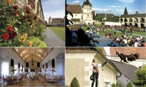 390_rosenburg-impressions